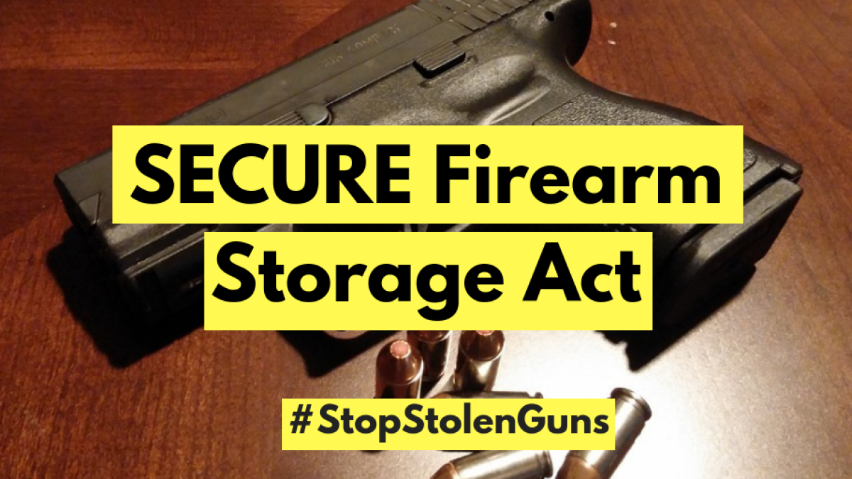 SECURE Firearm Storage Act