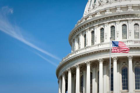 United States Capitol Dome and Flag