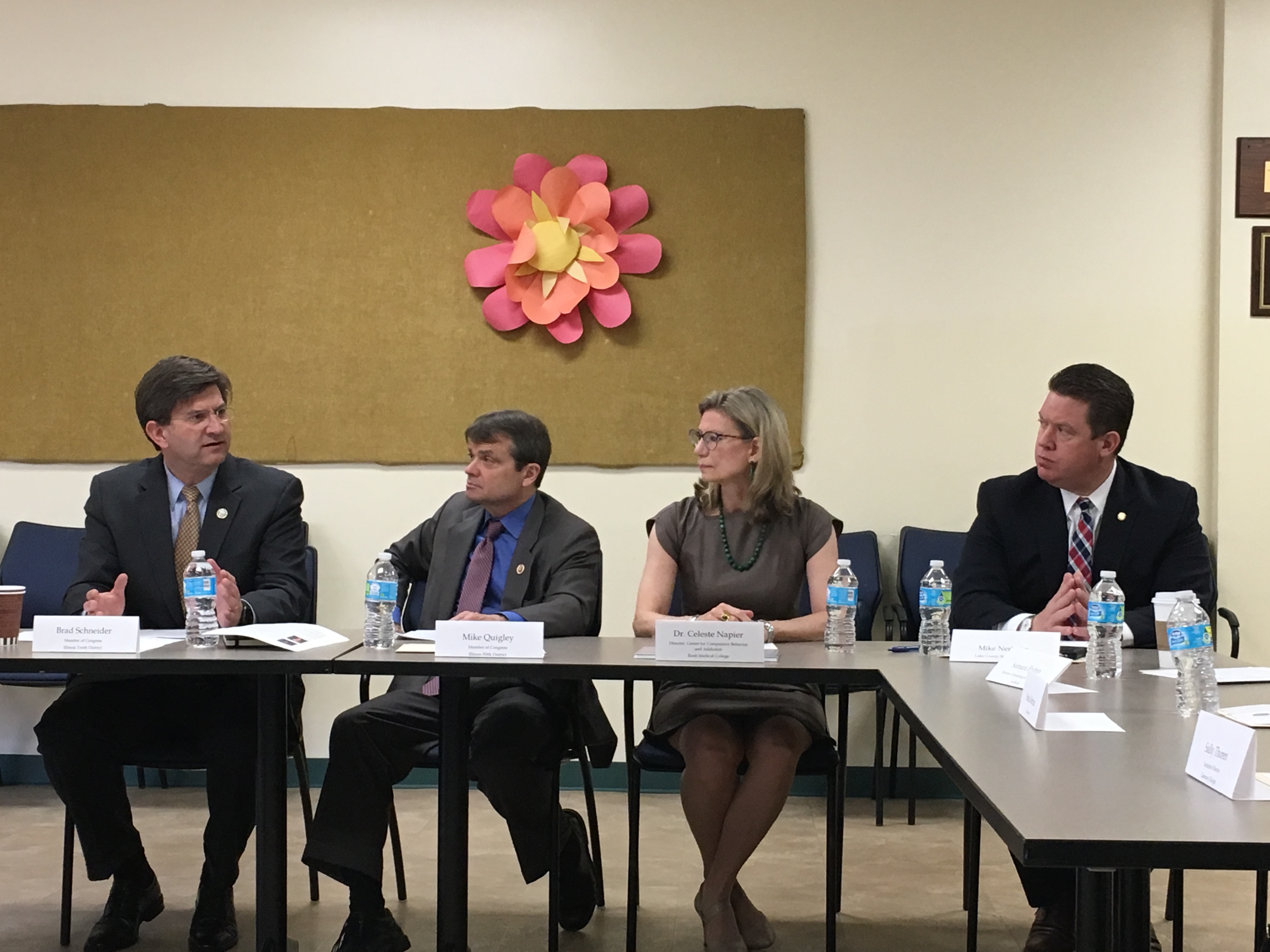 Rep. Schneider on a panel