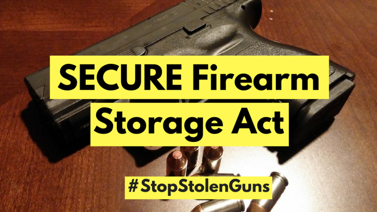 SECURE Firearm Storage Act (1) 